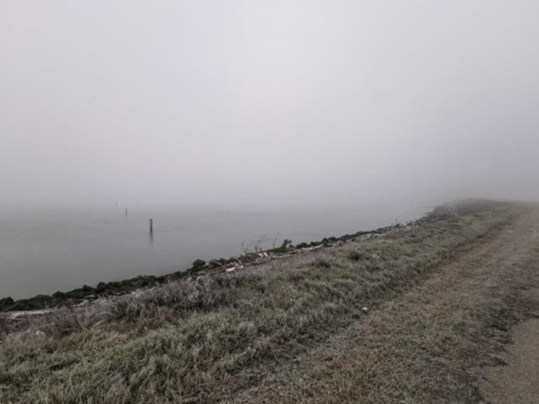 terreno agricolo in vendita a Porto Tolle