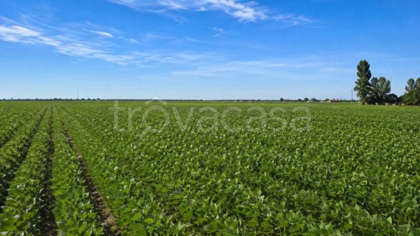 terreno agricolo in vendita a Porto Tolle in zona Tolle