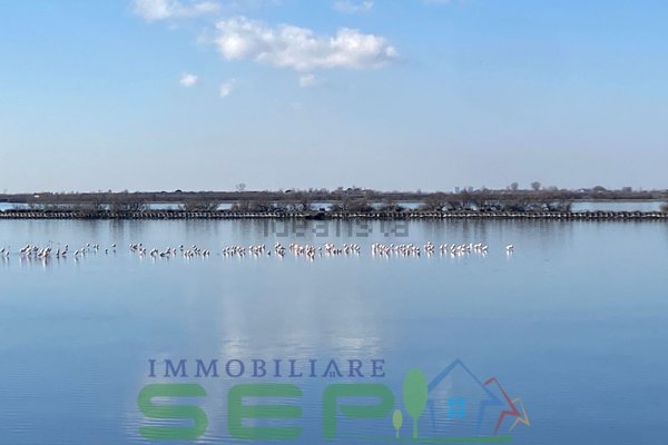 appartamento in vendita a Rosolina