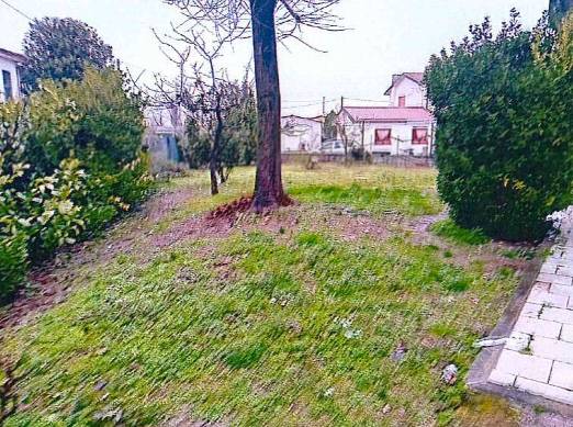 appartamento in vendita a Rosolina