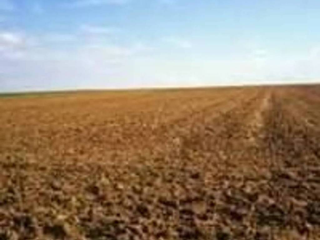 terreno agricolo in vendita a Rosolina