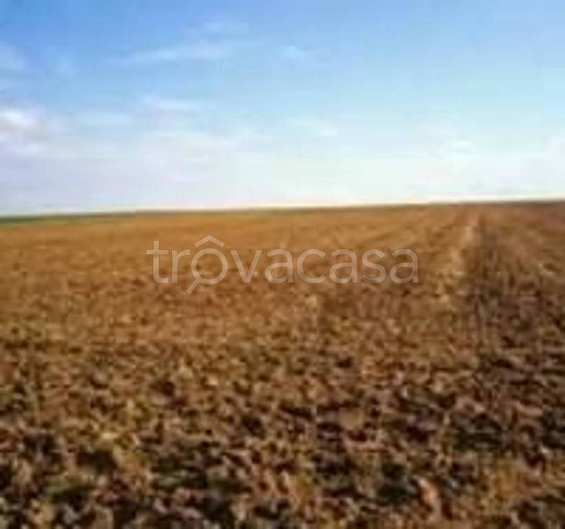 terreno agricolo in vendita a Rosolina