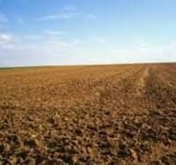 terreno agricolo in vendita a Rosolina