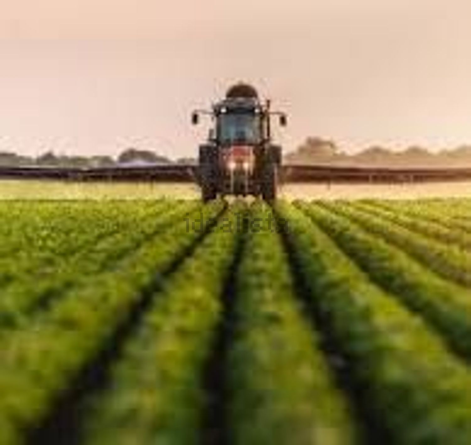 terreno agricolo in vendita a Rosolina