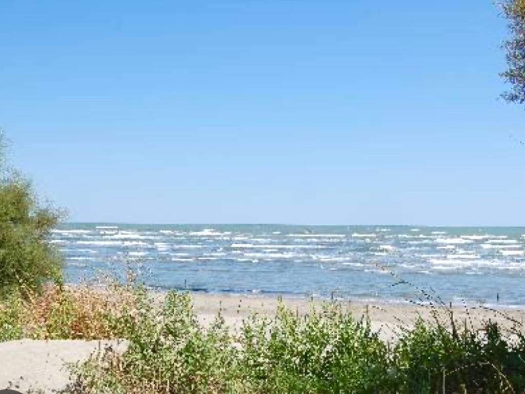 casa indipendente in vendita a Rosolina