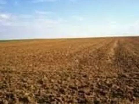 terreno agricolo in vendita a Rosolina