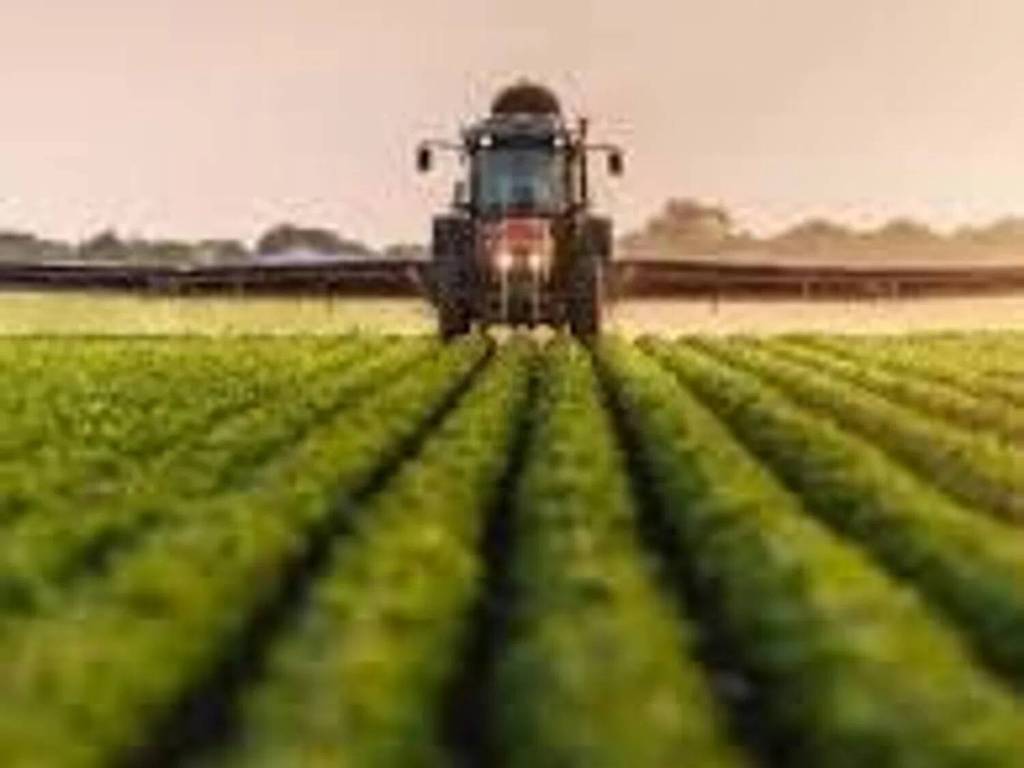 terreno agricolo in vendita a Rosolina