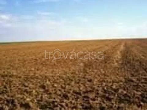 terreno agricolo in vendita a Rosolina