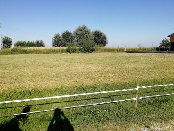 terreno edificabile in vendita a Rovigo in zona Mardimago