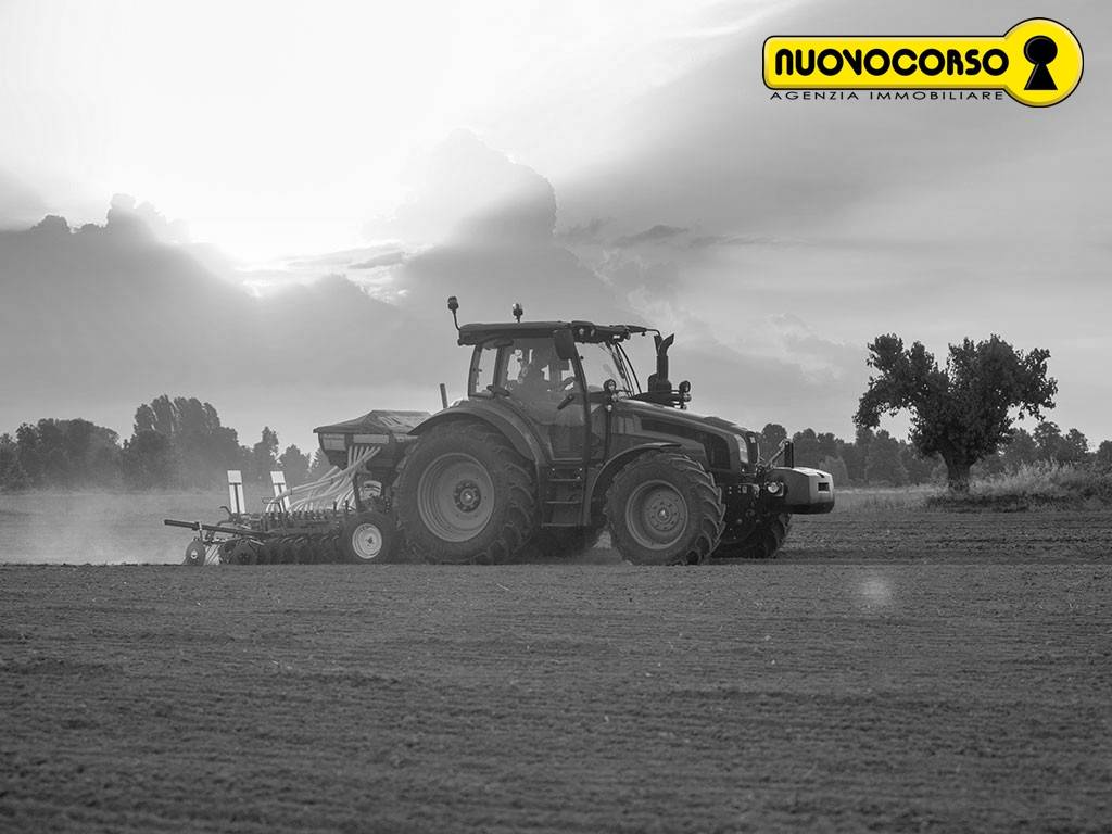 azienda agricola in vendita a Rovigo in zona Grignano Polesine