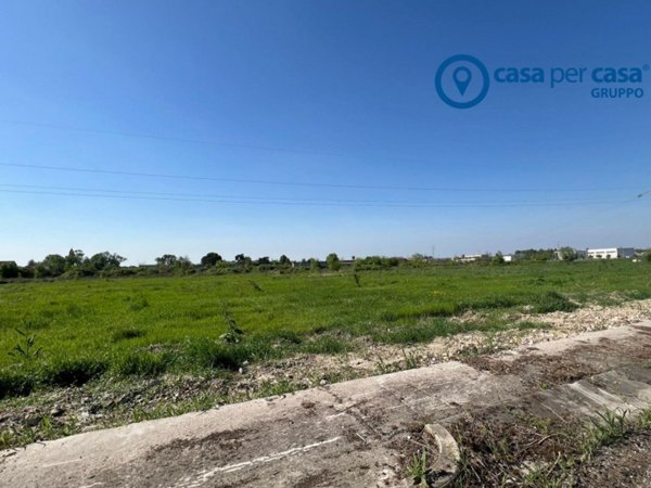 terreno agricolo in vendita a Rovigo in zona Borsea