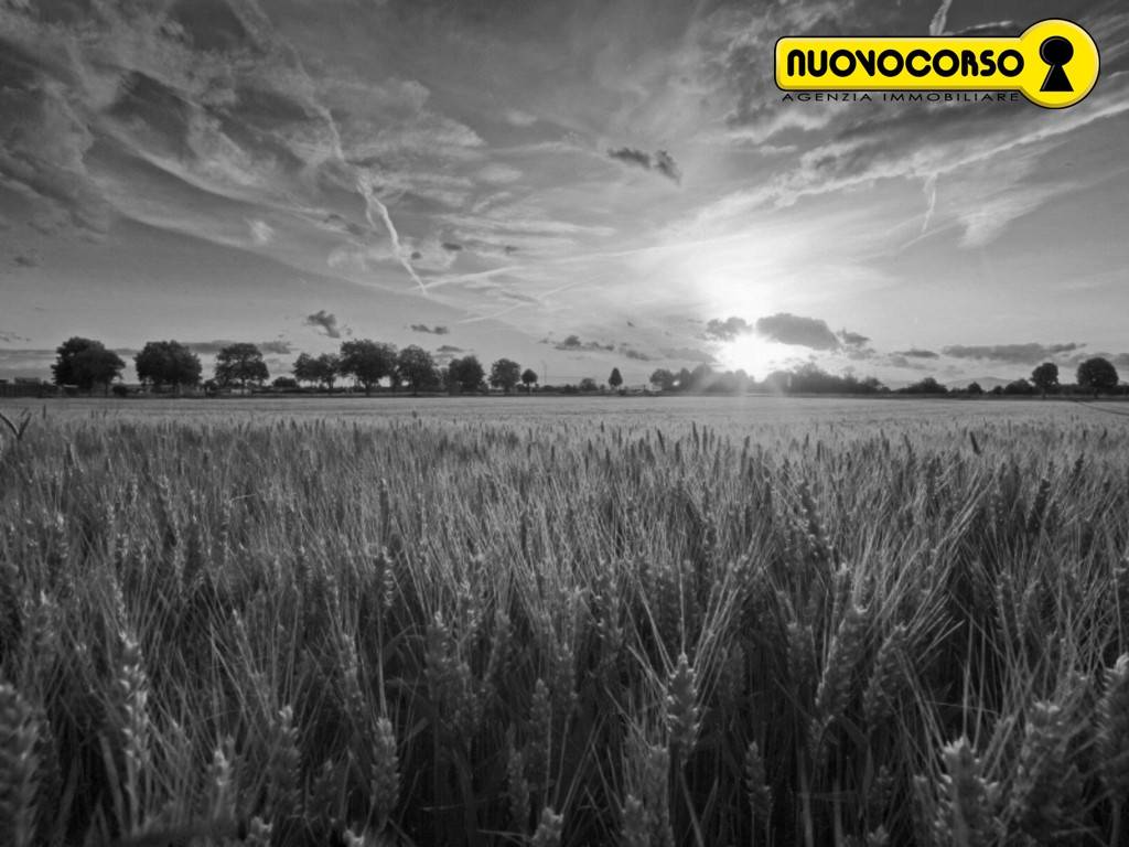 terreno agricolo in vendita a Rovigo
