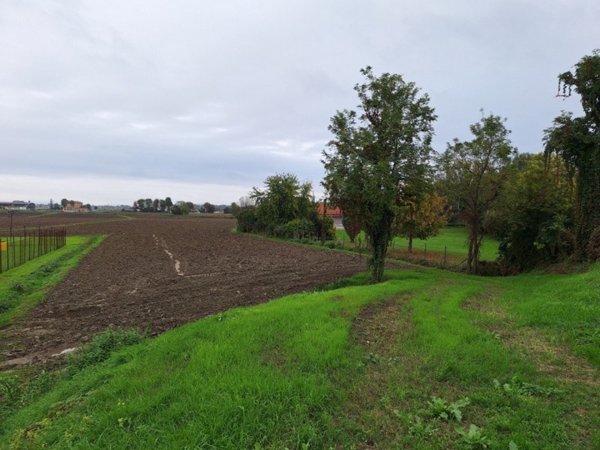 terreno agricolo in vendita a Rovigo in zona Roverdicrè