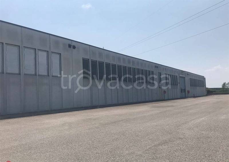 appartamento in vendita a Rovigo