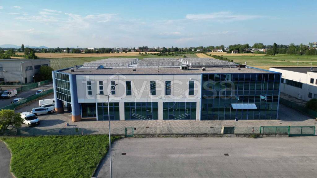 capannone in vendita a Rovigo in zona Borsea