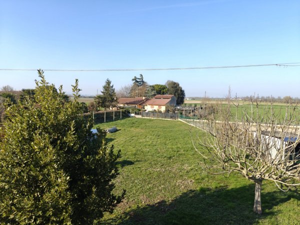 casa indipendente in vendita a Rovigo in zona Mardimago