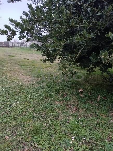 casa indipendente in vendita a Rovigo in zona Centro Storico