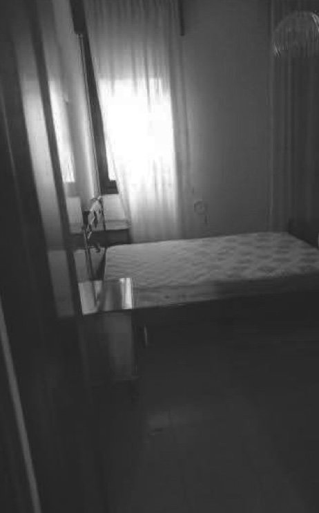 appartamento in vendita a Rovigo