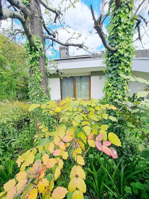 casa indipendente in vendita a Rovigo in zona Commenda