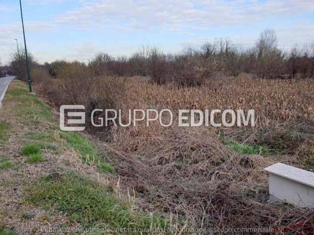 terreno agricolo in vendita a Rovigo