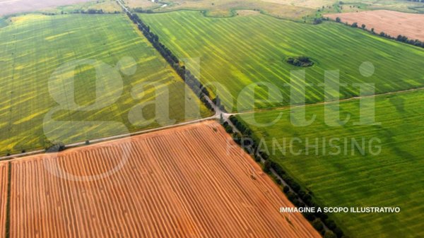 terreno edificabile in vendita a Rovigo in zona Boara Polesine