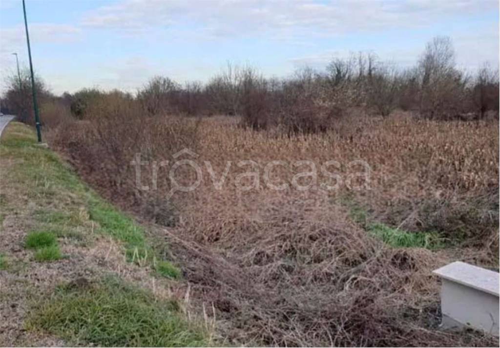appartamento in vendita a Rovigo