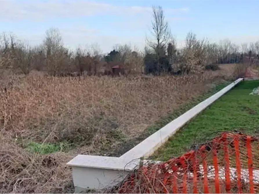 terreno agricolo in vendita a Rovigo