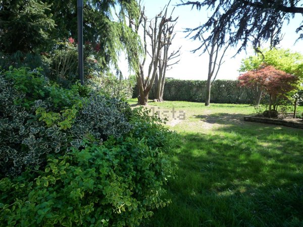 casa indipendente in vendita a Rovigo