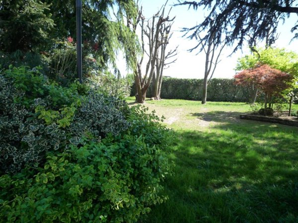 casa indipendente in vendita a Rovigo in zona Boara Polesine