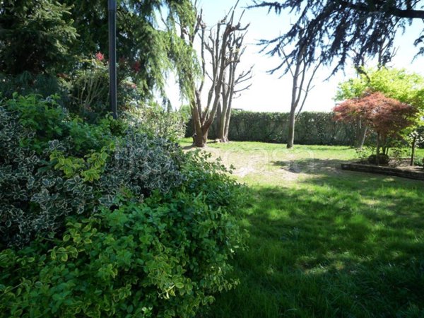 casa indipendente in vendita a Rovigo