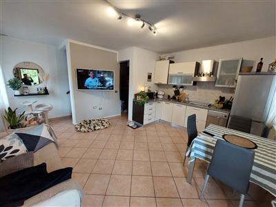 casa indipendente in vendita a Rovigo