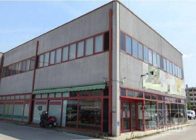 negozio in vendita a Rovigo in zona Borsea