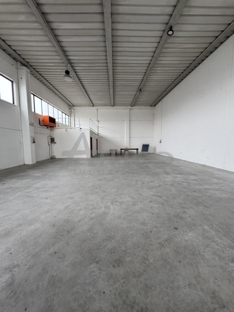appartamento in vendita a Rovigo in zona Borsea