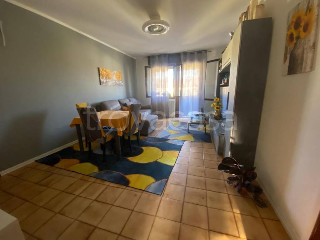 appartamento in vendita a Rovigo