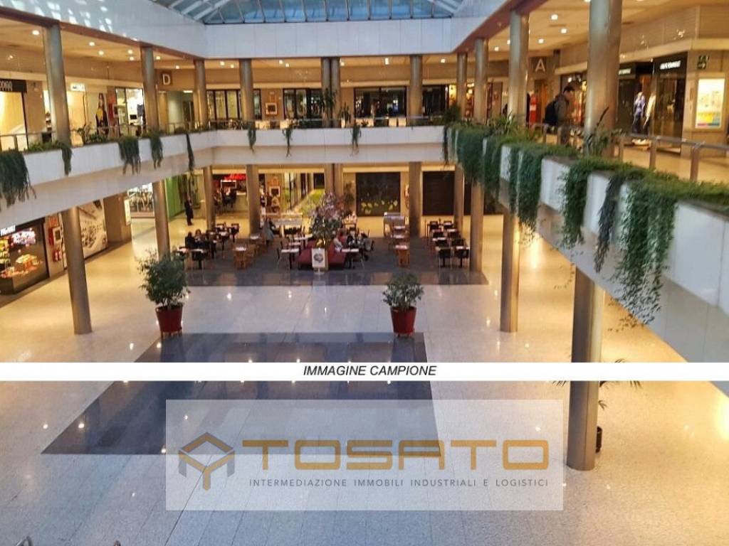 negozio in vendita a Rovigo in zona Centro Storico