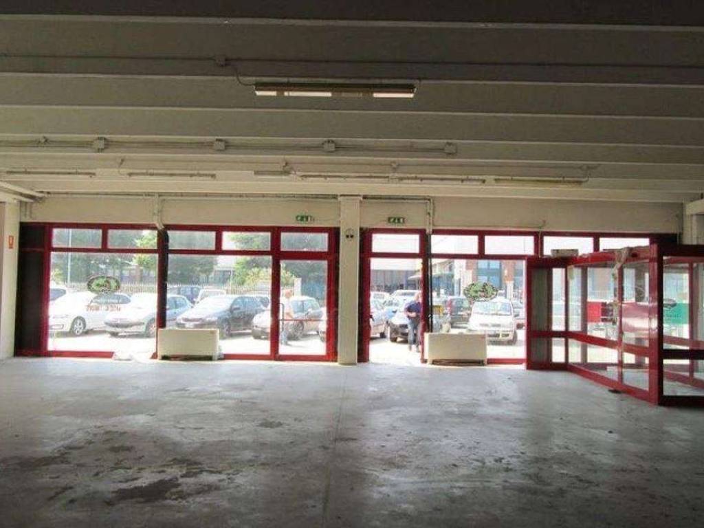 negozio in vendita a Rovigo in zona Borsea