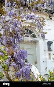 casa indipendente in vendita a Rovigo