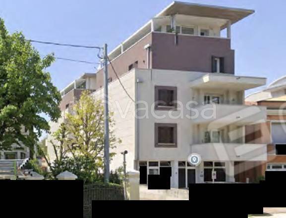 negozio in vendita a Rovigo