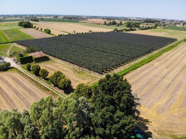 terreno agricolo in vendita a Rovigo in zona Concadirame
