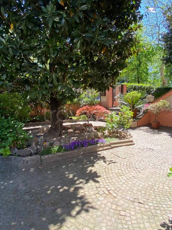 casa indipendente in vendita a Rovigo