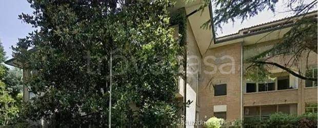 appartamento in vendita a Rovigo