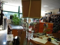 casa indipendente in vendita a Rovigo