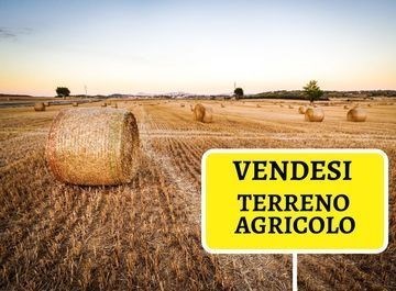 terreno agricolo in vendita a Rovigo