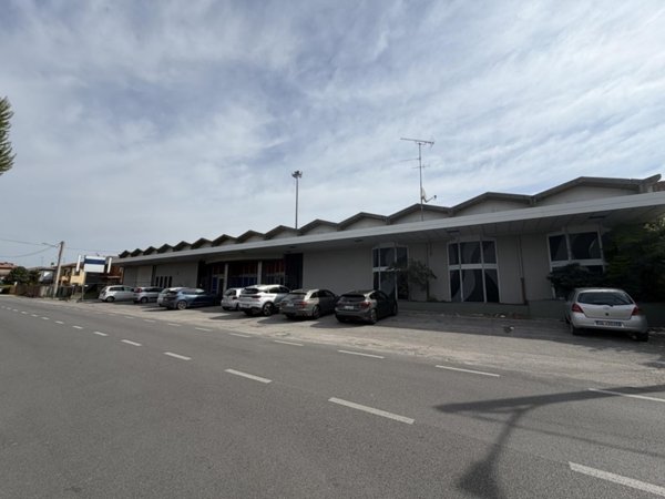 negozio in vendita a Rovigo in zona San Pio X
