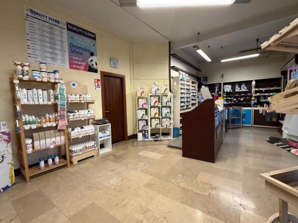 negozio in vendita a Rovigo in zona Grignano Polesine