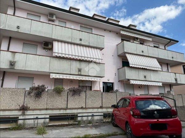 appartamento in vendita a Rovigo in zona Borsea