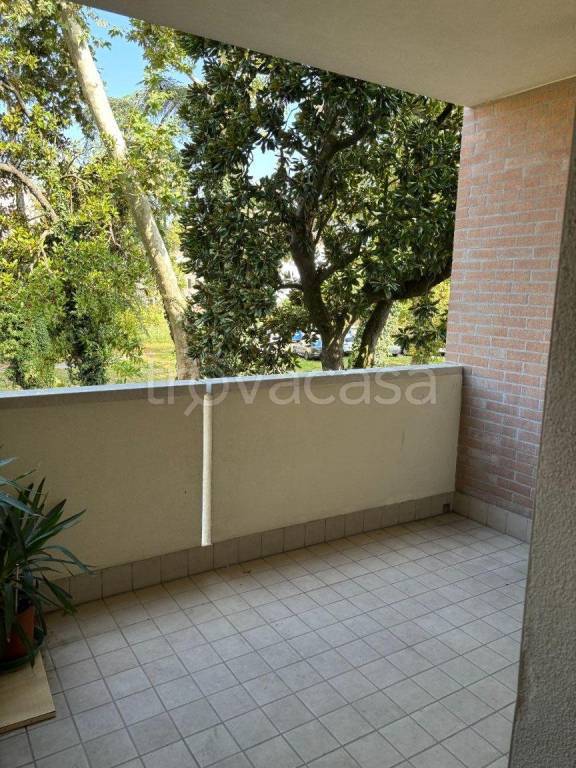 appartamento in vendita a Rovigo