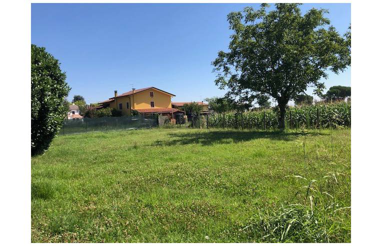 casa indipendente in vendita a Salara