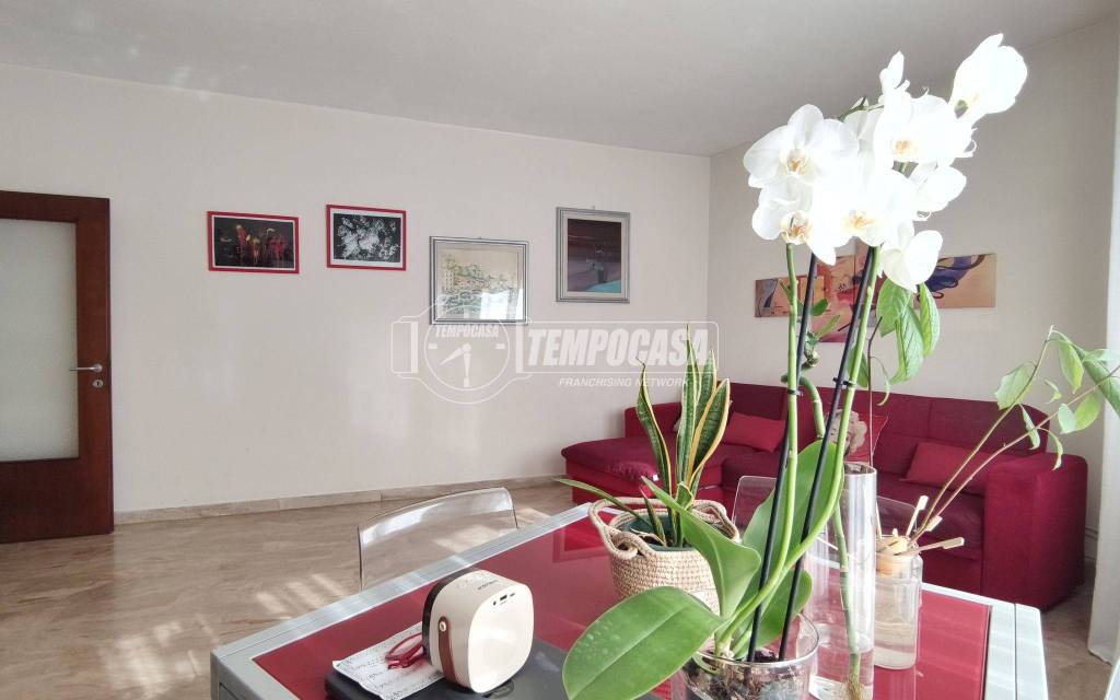 appartamento in vendita a San Bellino