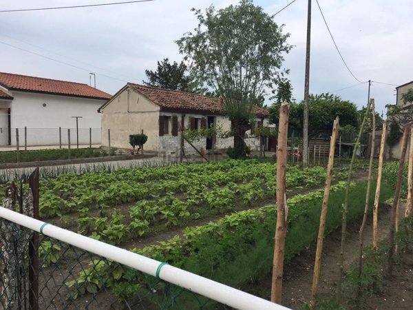casa indipendente in vendita a San Martino di Venezze